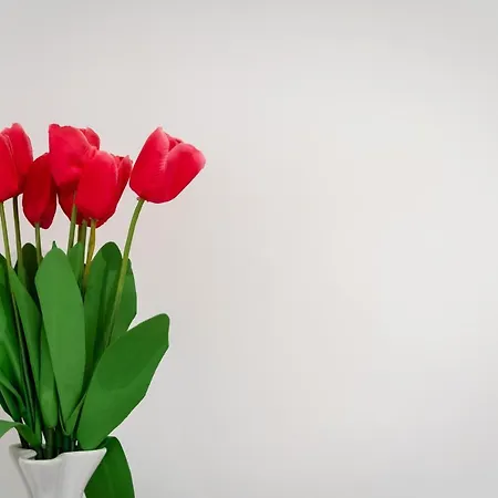 דירה Studio La Luna *